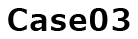 Case03